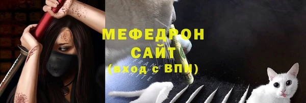 дживик Белокуриха