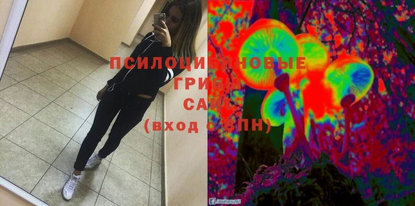 стафф Баксан