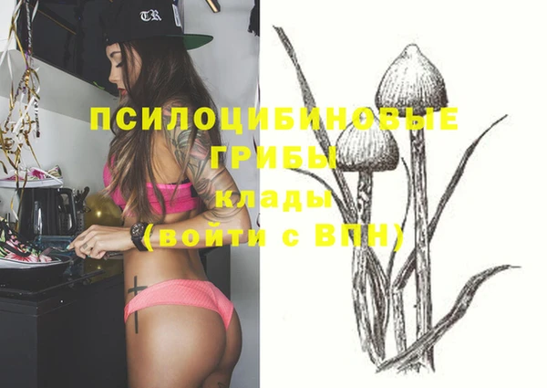 мяу мяу мука Балахна