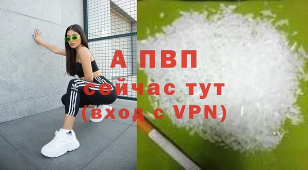 стафф Баксан