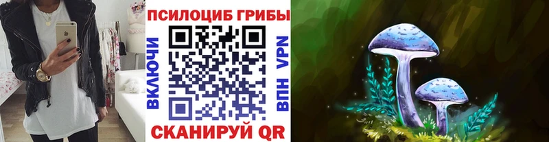 мега ссылки Давлеканово Галлюциногенные грибы Psilocybine cubensis закладка